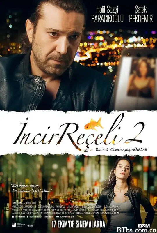 无花果果酱2/Incir Reçeli 2