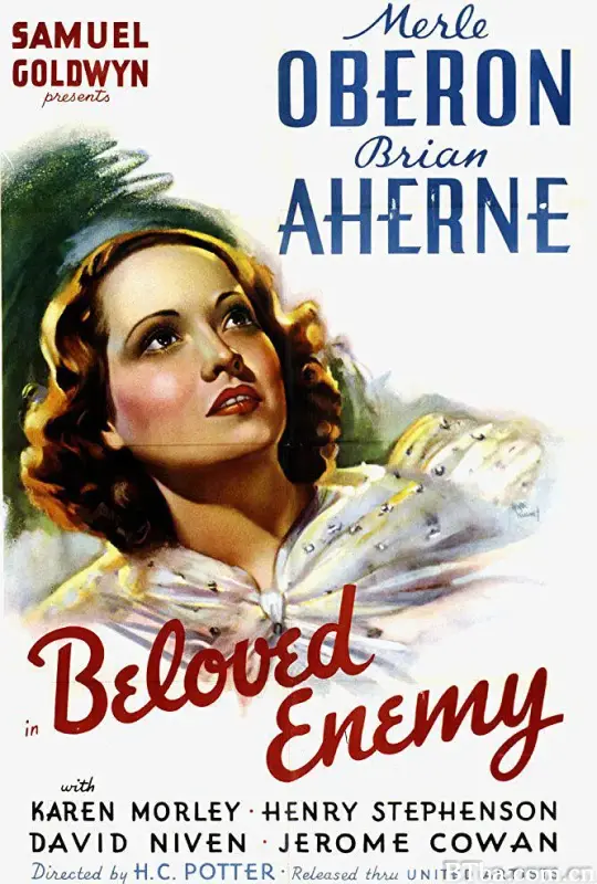 亲爱的敌人/Beloved Enemy