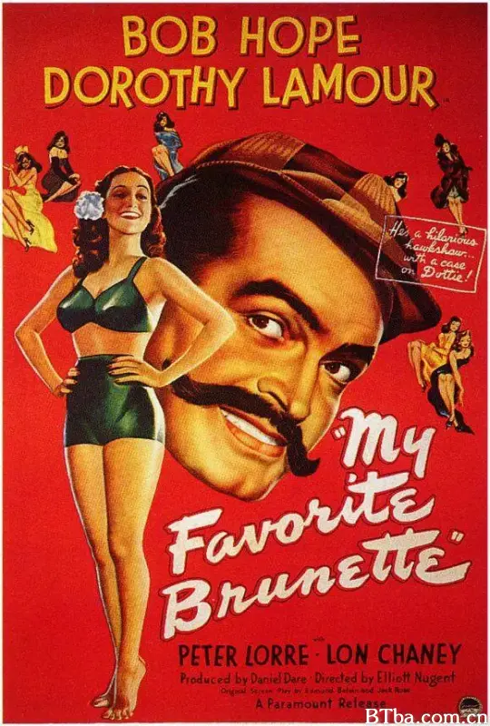 傻侠救美/My Favorite Brunette