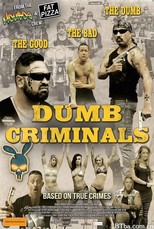 阿呆罪犯大电影/Dumb Criminals: The Movie