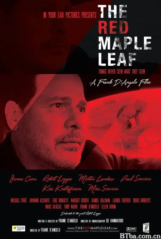 红色枫叶/The Red Maple Leaf