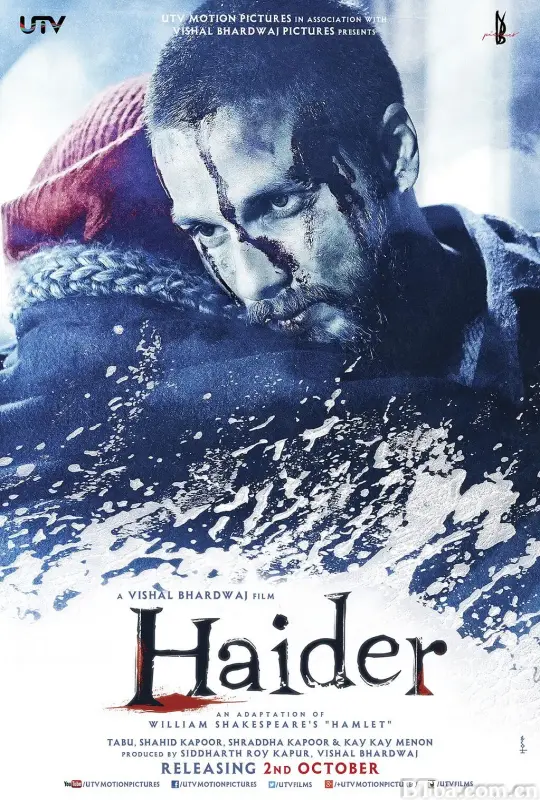 海德尔/Haider