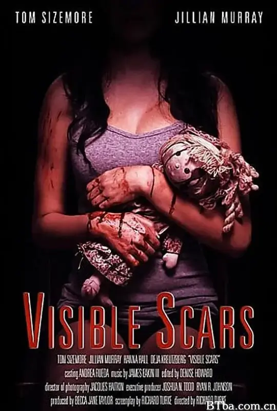 看得见的伤痕/Visible Scars