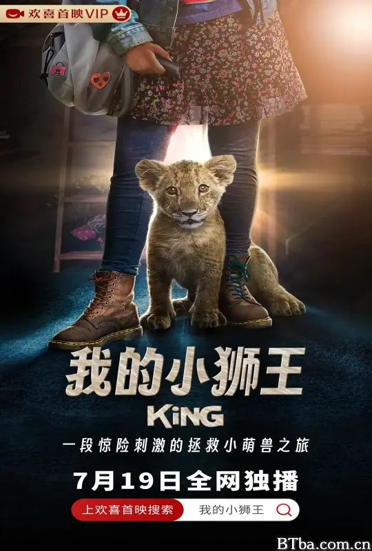 我的小狮王/King