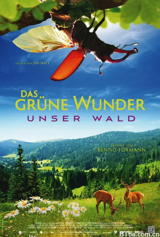 大自然之舞/Das grüne Wunder - Unser Wald
