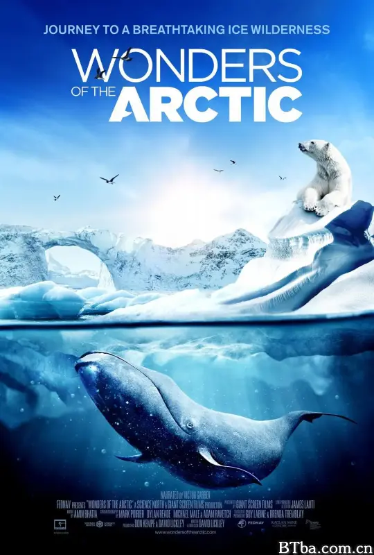 北极奇观/Wonders of the Arctic