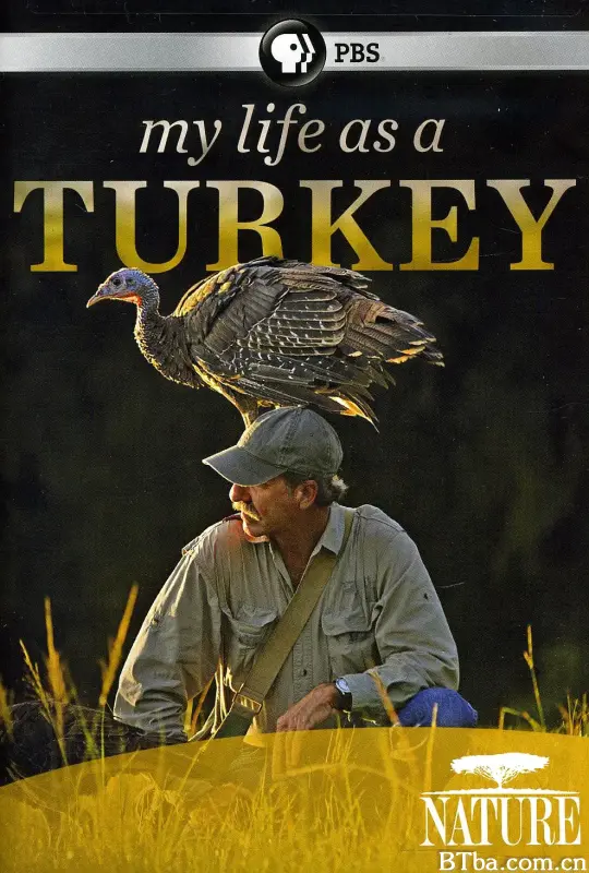 我的火鸡生活/My Life as a Turkey