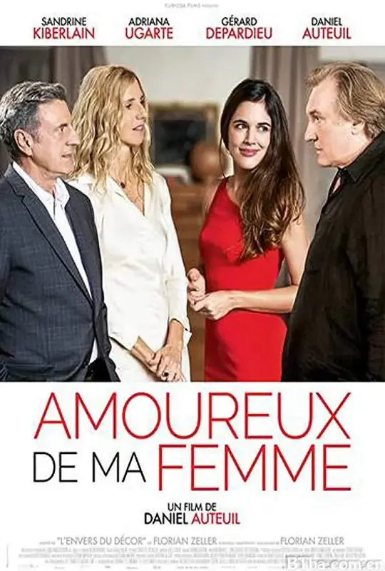 爱上我老婆/Amoureux de ma femme