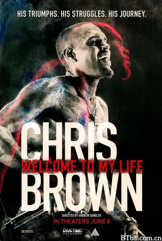 克里斯·布朗：欢迎来到我的生活/Chris Brown: Welcome to My Life