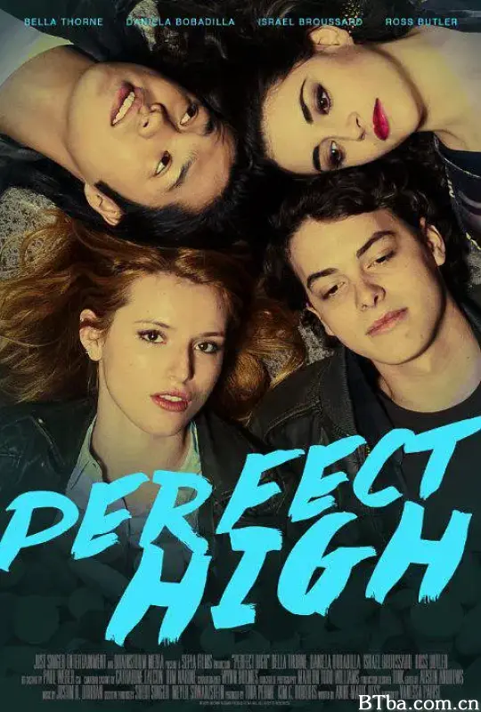 药瘾之殇/Perfect High