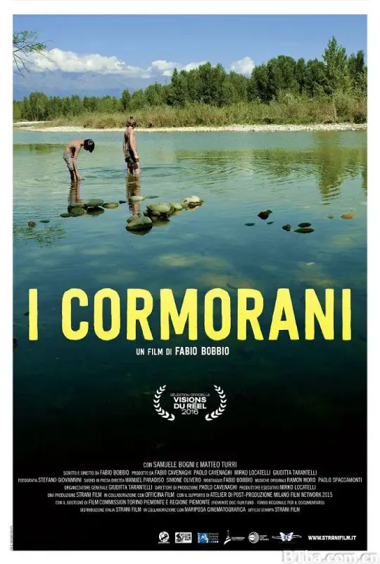 鸬鹚/I Cormorani