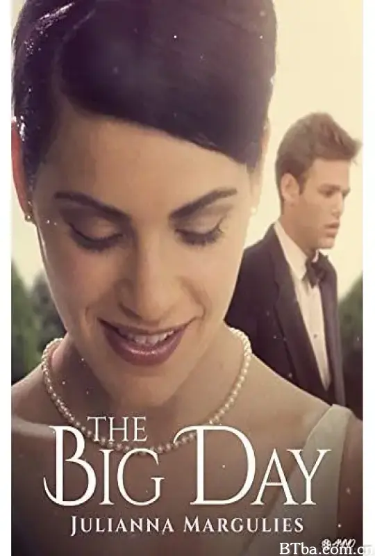 婚礼急转弯/The Big Day