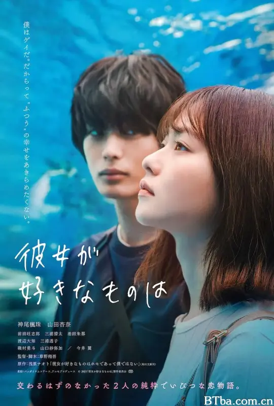她喜欢的是/彼女が好きなものは