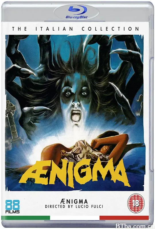 复仇之迷：卢西奥.弗尔兹和他的80年代/Aenigma: Lucio Fulci and the 80s