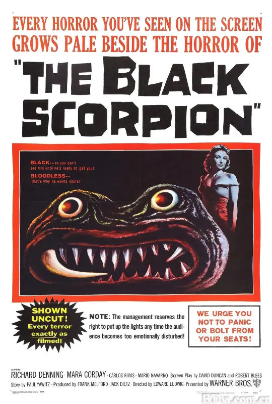 黑蝎/The Black Scorpion