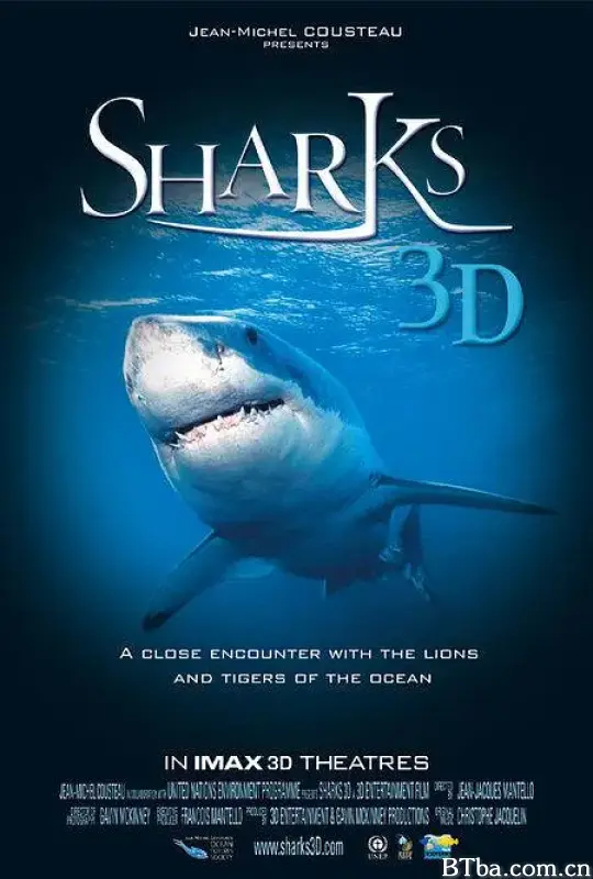 鲨鱼3D/Sharks 3D