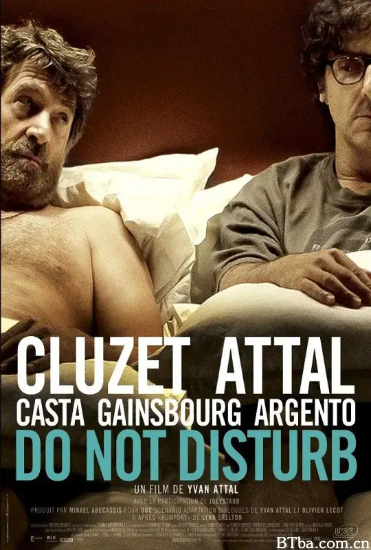 请勿打扰/Do Not Disturb