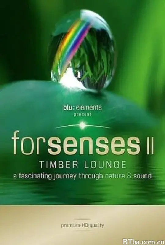 蓝色元素2/Blu Elements Forsenses II Timber Lounge