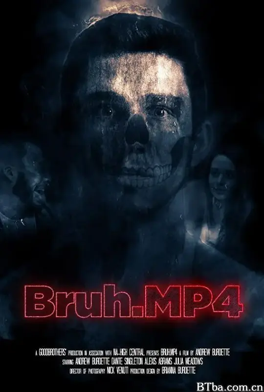中断.MP4/Bruh.MP4