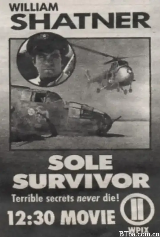 沙漠大搜索/Sole Survivor
