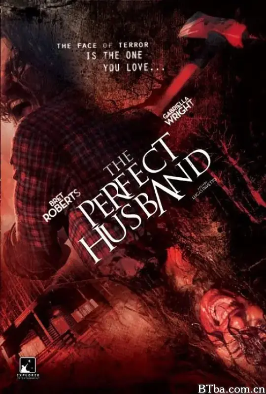完美丈夫/The Perfect Husband