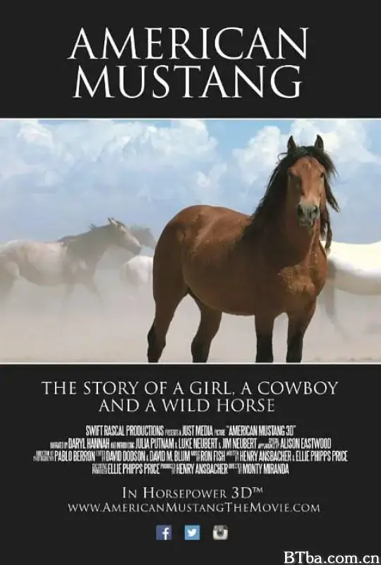 美国野马/American Mustang