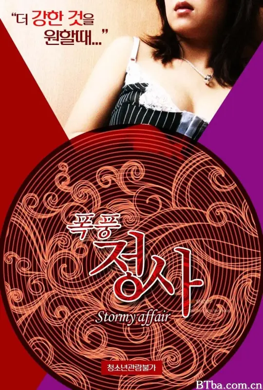 暴风情事/폭풍정사
