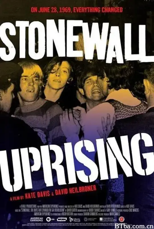 石墙风暴/Stonewall Uprising