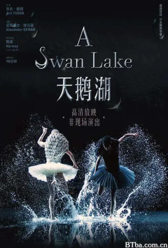 天鹅湖/A Swan Lake
