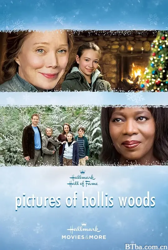 孤女梦痕/Pictures of Hollis Woods
