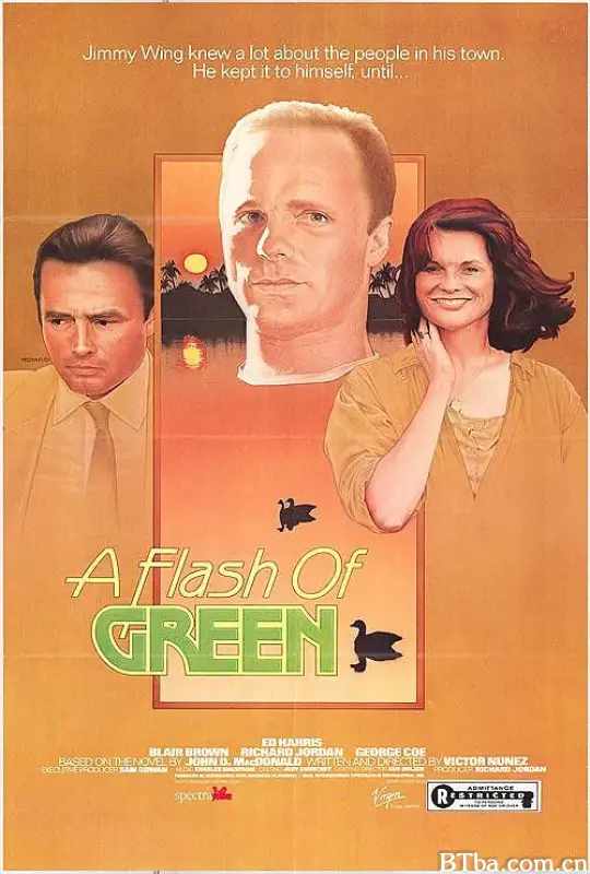 绿色闪光/A Flash of Green