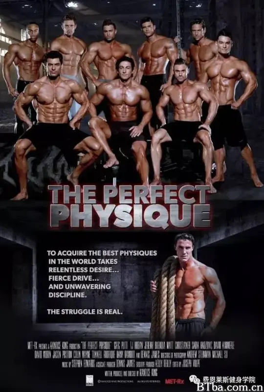 完美体格/The Perfect Physique