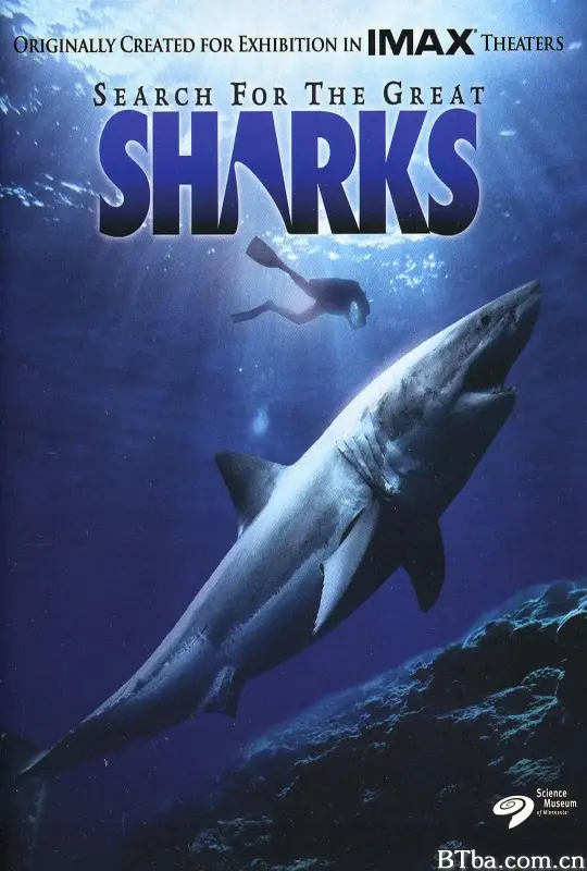 寻鲨记/Search for the Great Sharks