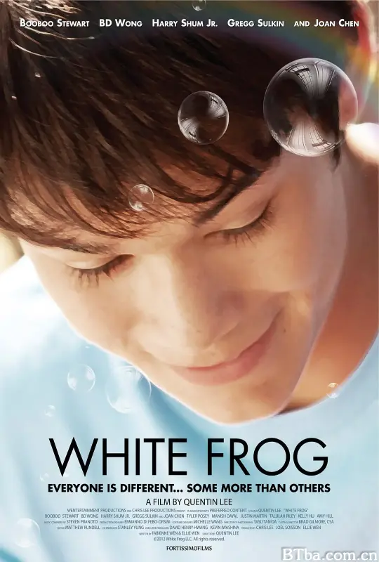 白色蛙/White Frog
