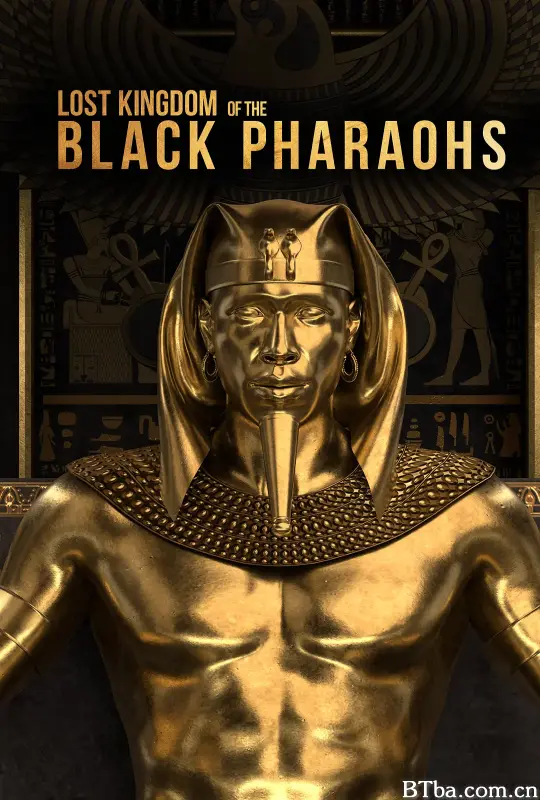 消失的黑法老王朝/Lost Kingdom of the Black Pharaohs