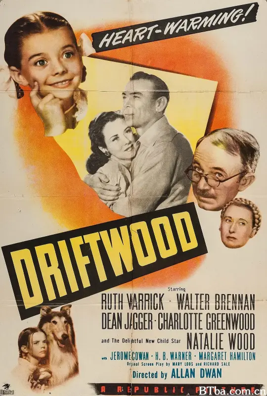 浮木/Driftwood