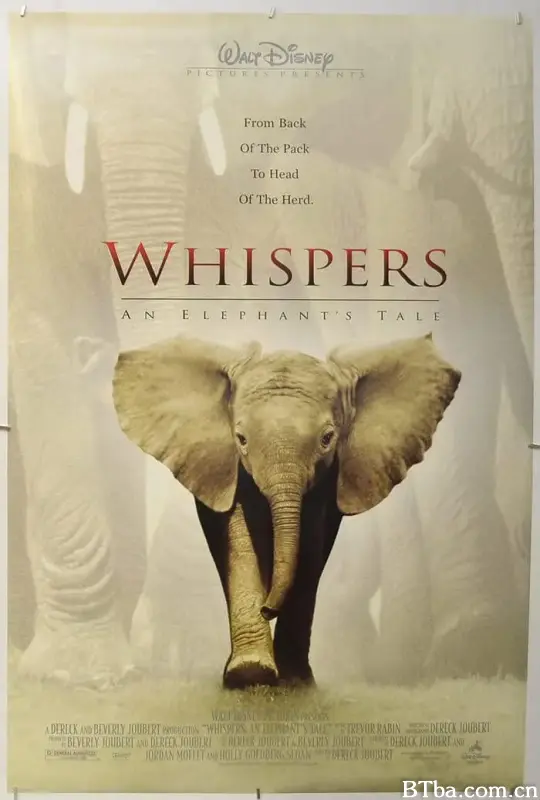 小象的故事/Whispers: An Elephant's Tale