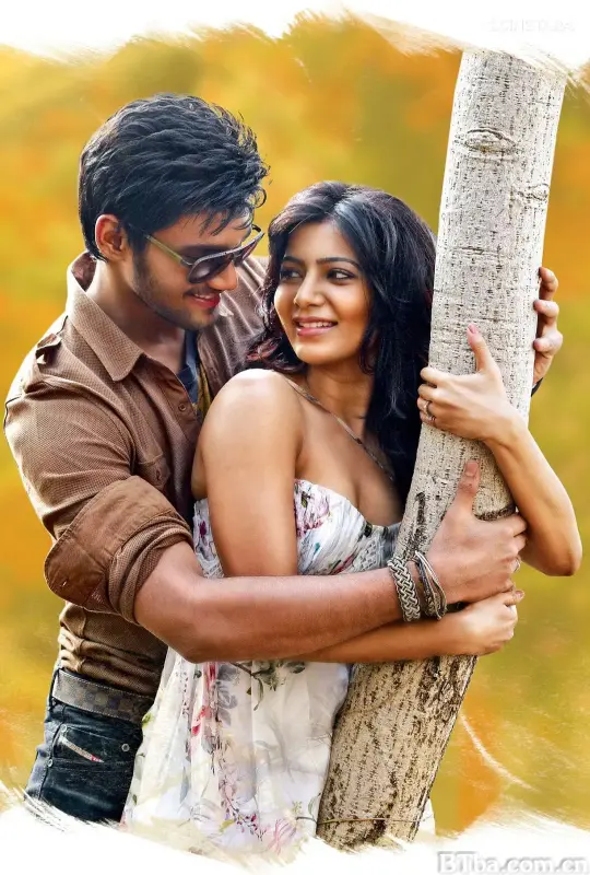 最佳女婿/Alludu Seenu