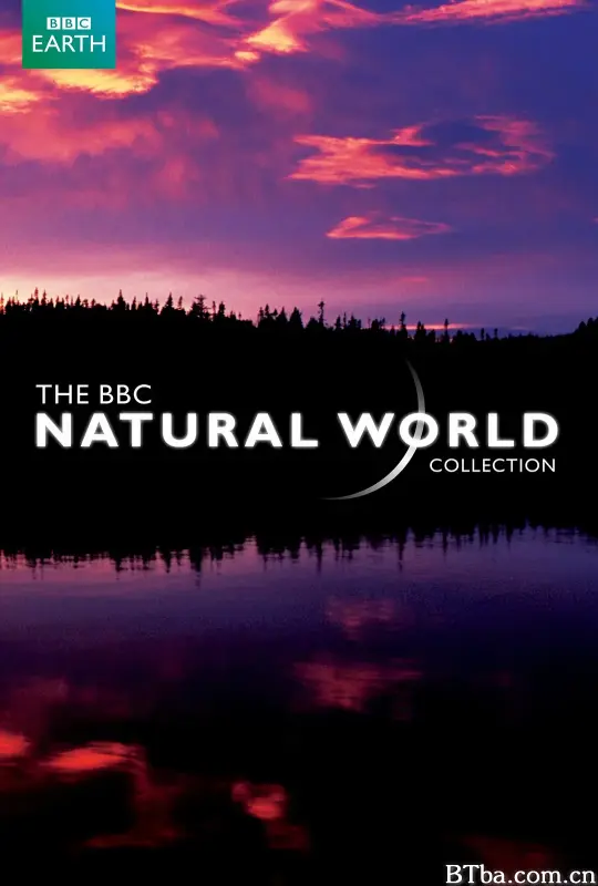 BBC 自然世界 2010 神秘的豹/BBC.Natural.World.2010.The.Secret.Leopards