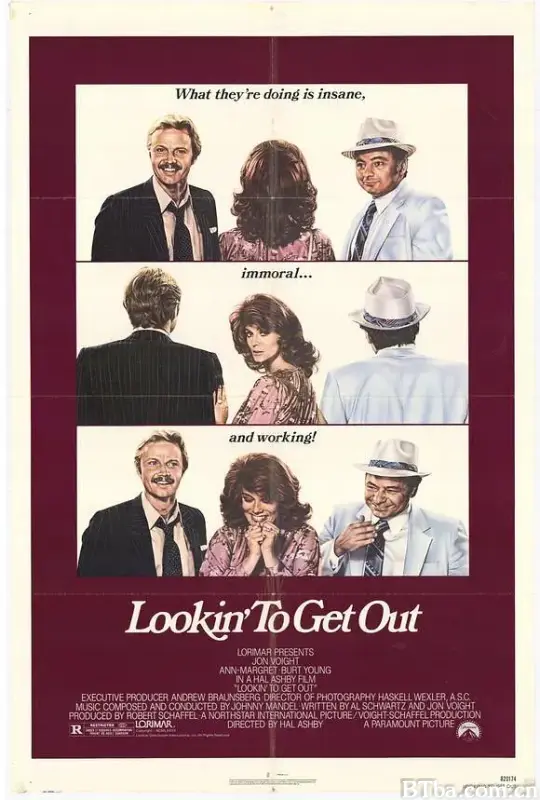 朴克误我卅年/Lookin' to Get Out