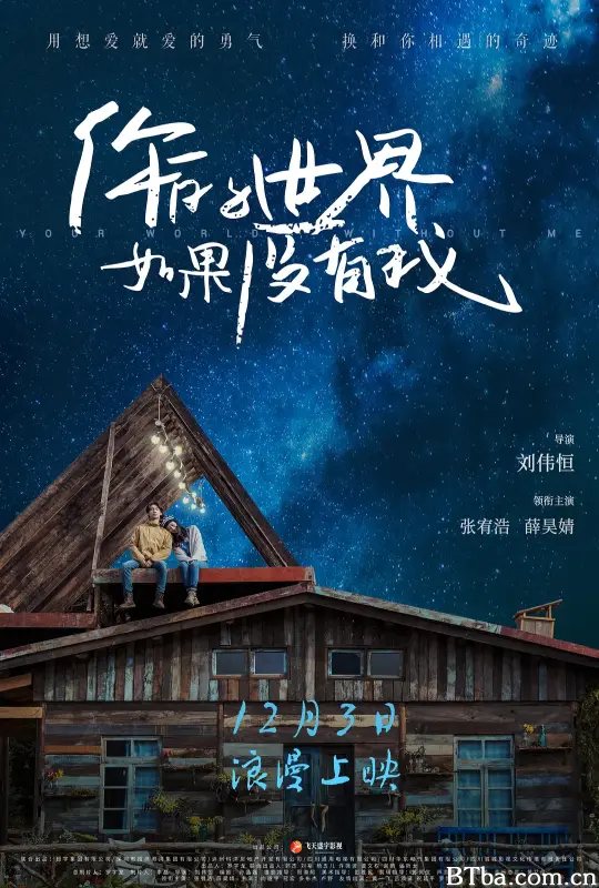 你的世界如果没有我