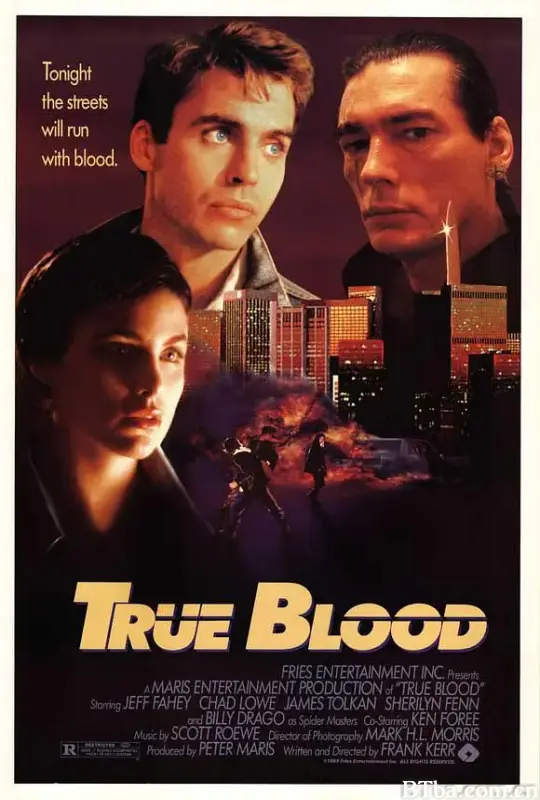 黑街悍将/True Blood