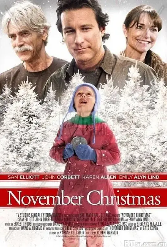 十一月的圣诞/November Christmas