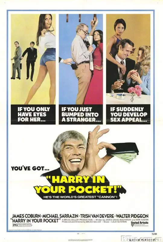 妙手空空大行动/Harry in Your Pocket