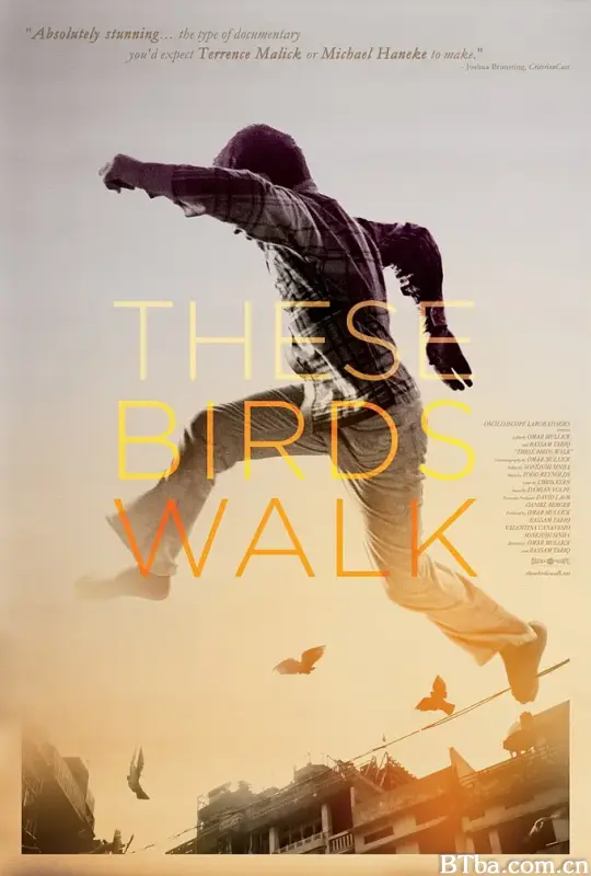 跑路鸟/These Birds Walk