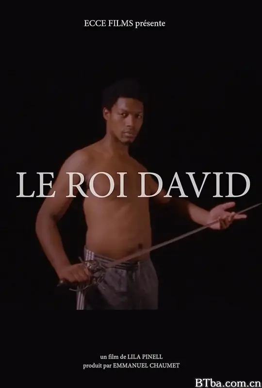 国王大卫/Le Roi David