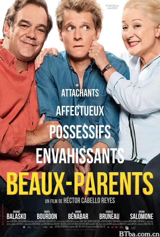 女婿/Beaux-parents