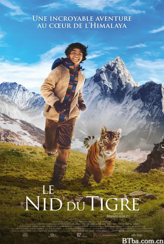 虎穴探秘/Il ragazzo e la tigre