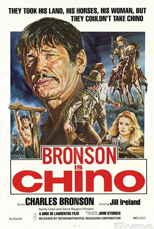 不羁的野马/Chino