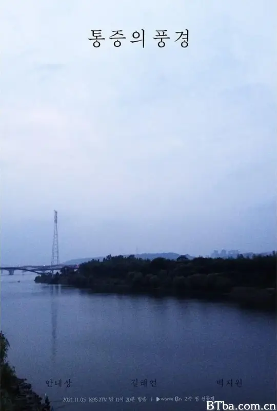 疼痛的风景/통증의 풍경